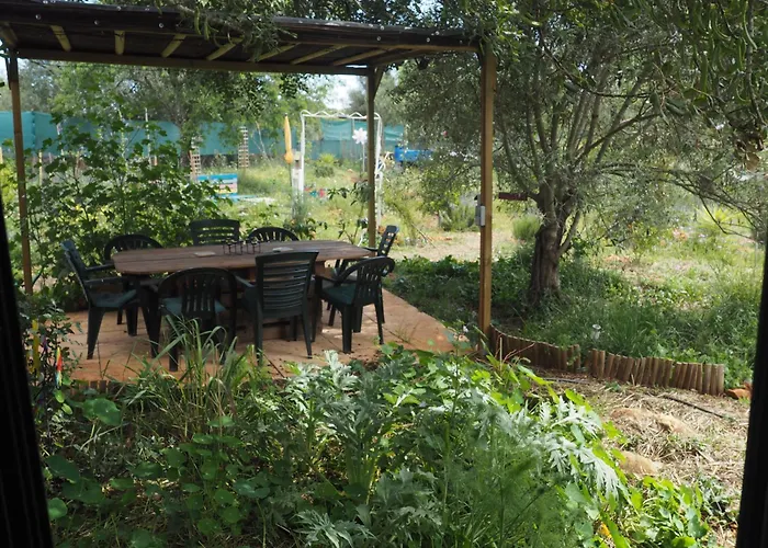 Tiny House Eco Resort