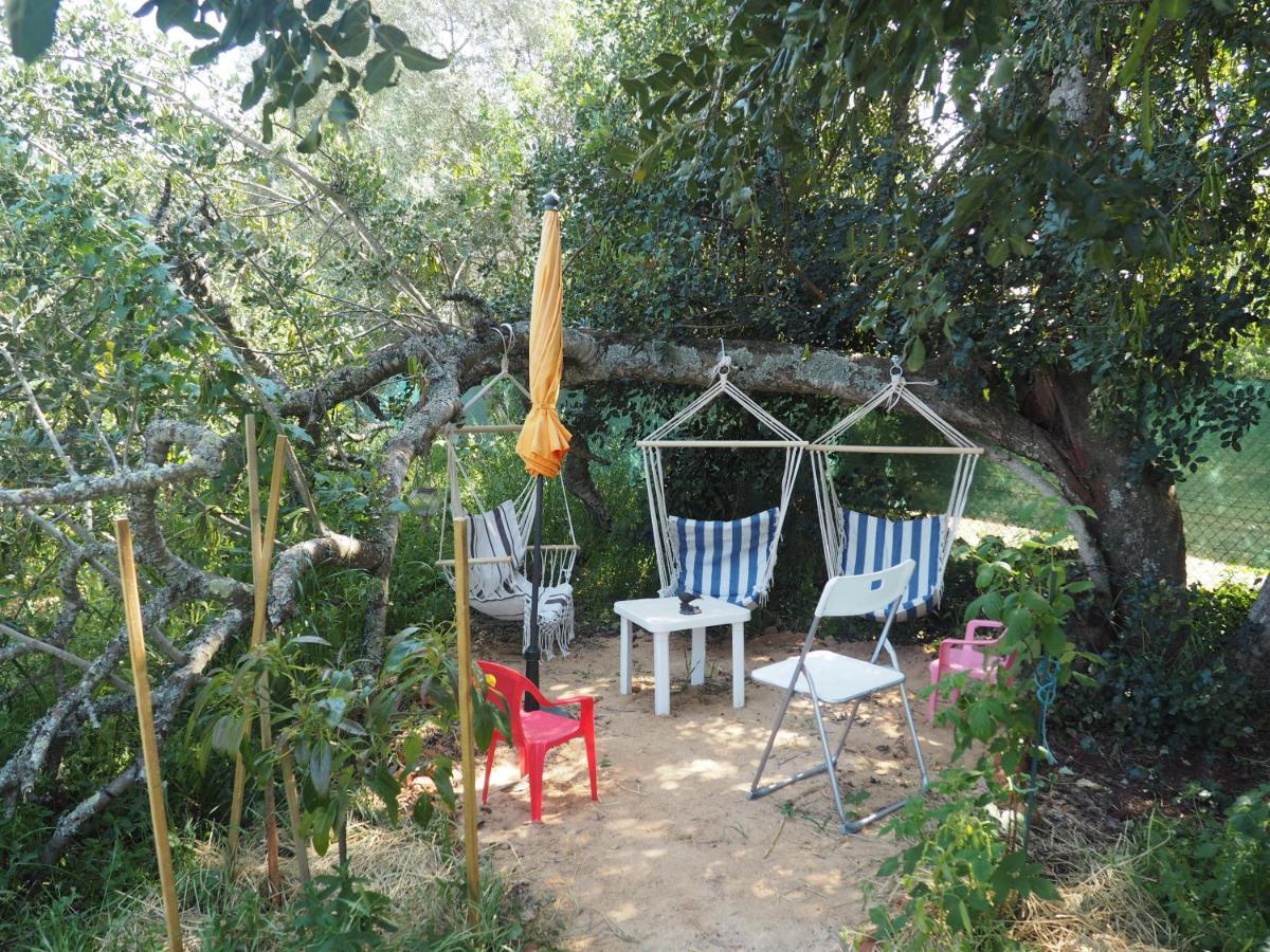 Campsite Tiny House Eco Estevais