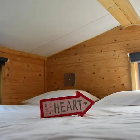 Tiny House Eco Resort Estevais Exterior photo