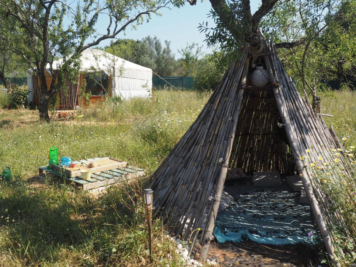 Tiny House Eco
