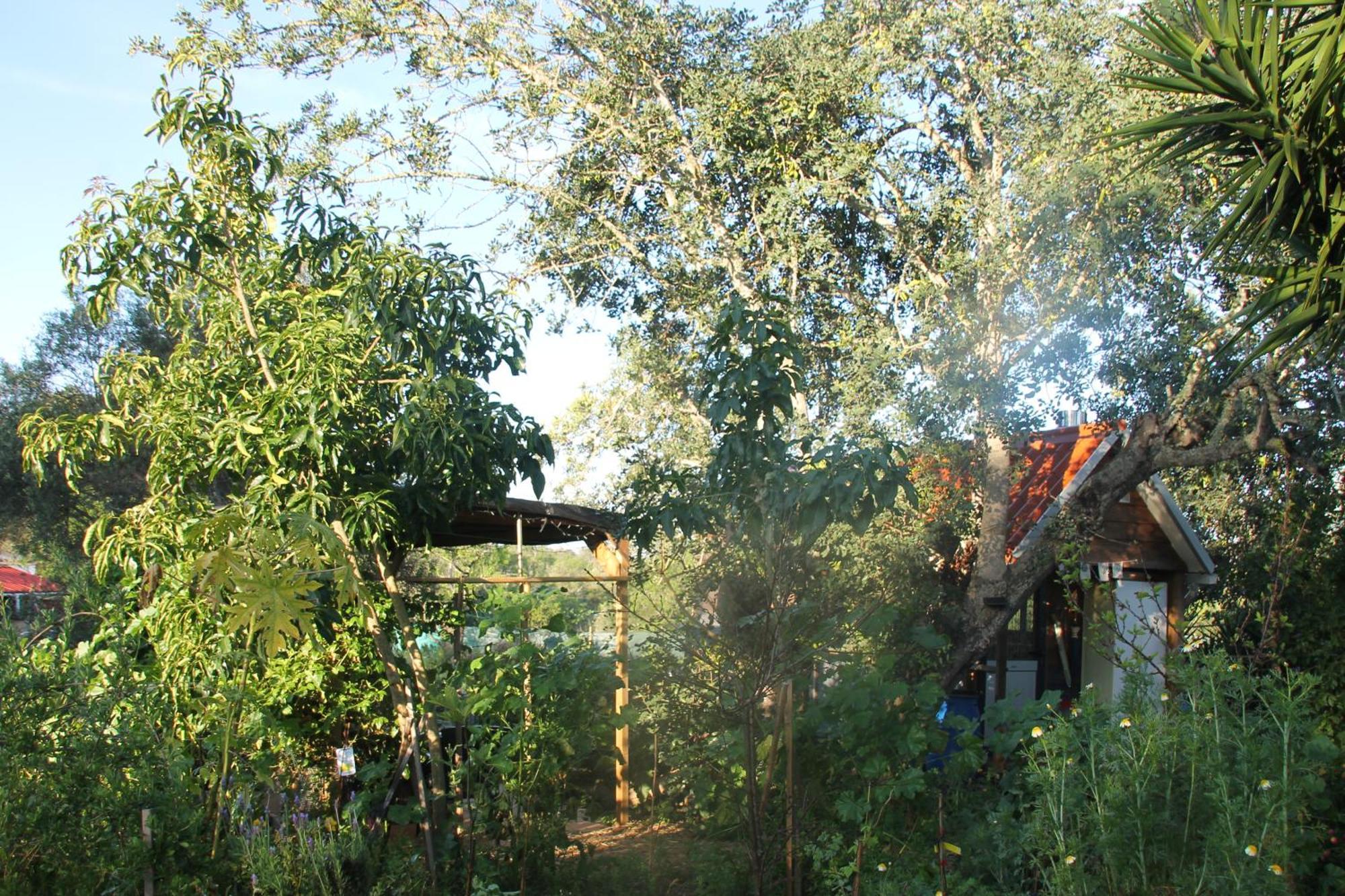 Tiny House Eco Campsite